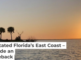 Seagrass has made an unexpected return to Mosquito Lagoon. Captain William B. Wolfson, Grassroots Guide Service, New Smyrna Beach, FL